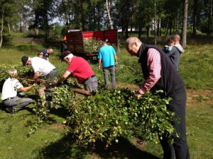 Midsommaraftons förmiddag 1